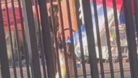 Homeless crisis haunt North Hollywood