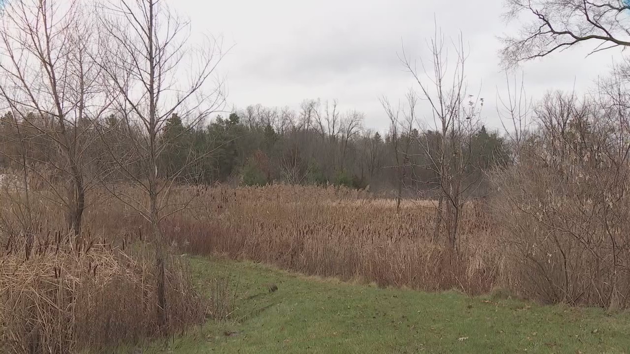 White Lake teen drowns in retention pond in Oakland County