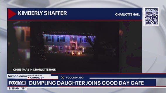 Holiday Lights in the DMV