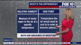 Dew point vs. humidity: What's the difference?