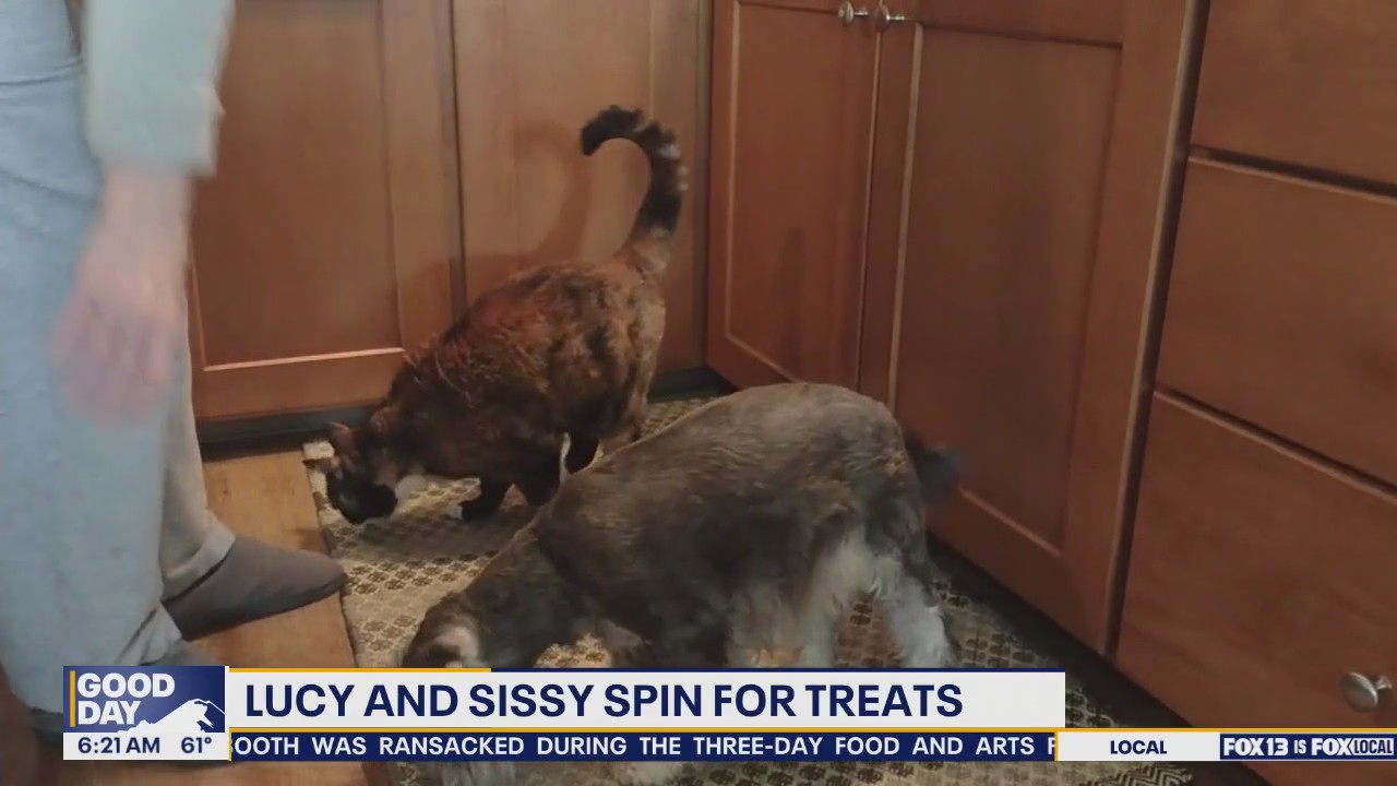 Pet Tricks for Thursday, July 31