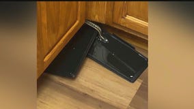 Suburban home overrun by snakes: Tenant battles infestation as realty company stalls