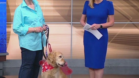 Meet Alisa: Our Pet of the Day