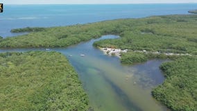 Drone Zone: Tampa Bay Estuaries