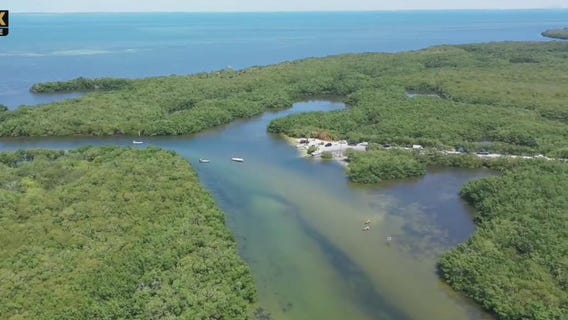 Drone Zone: Tampa Bay Estuaries
