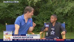 Junior Reporter in Dumfries!