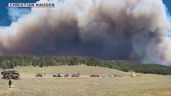 Coconino County seeks public input on wildfire recovery