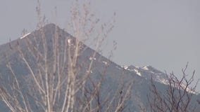 Flagstaff expects a green Christmas with warmer temps