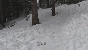 Avalanches reported in northern Arizona during storm