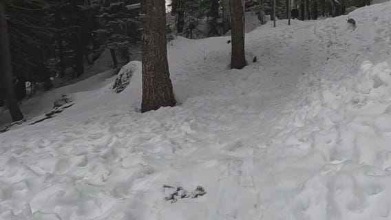 Avalanches reported in northern Arizona during storm