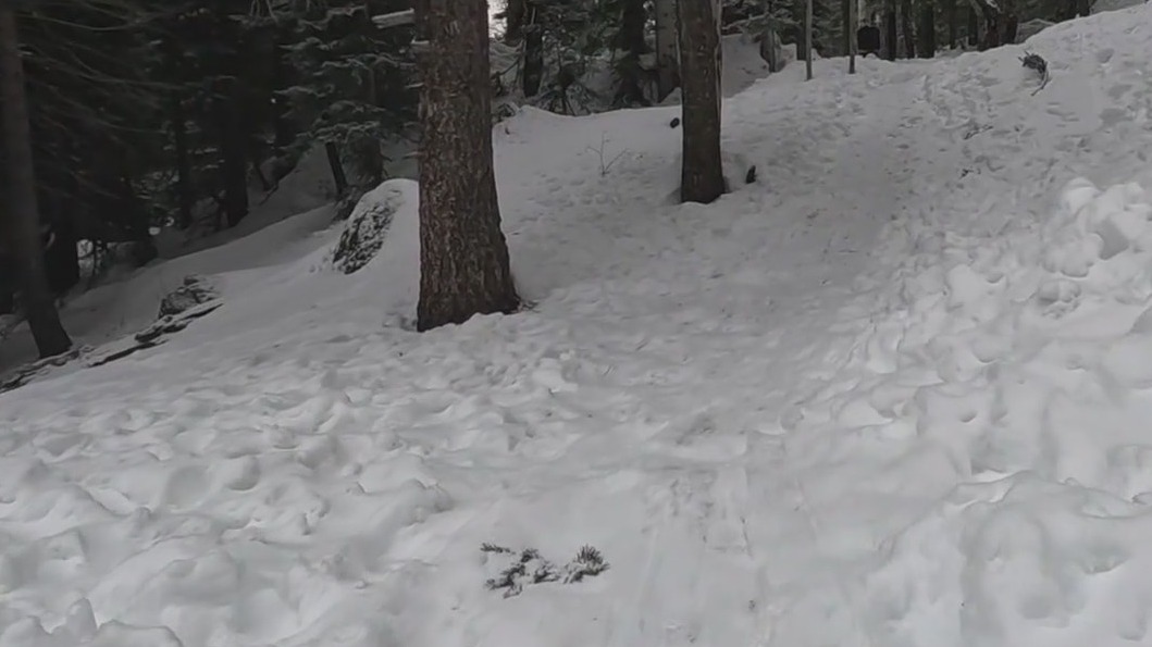 Avalanches reported in northern Arizona during storm