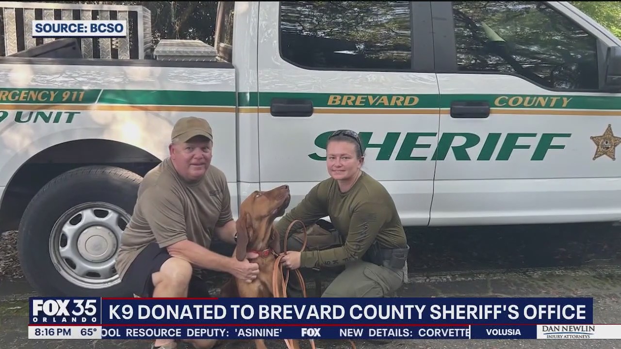 Brevard County sheriff’s office welcomes new bloodhound