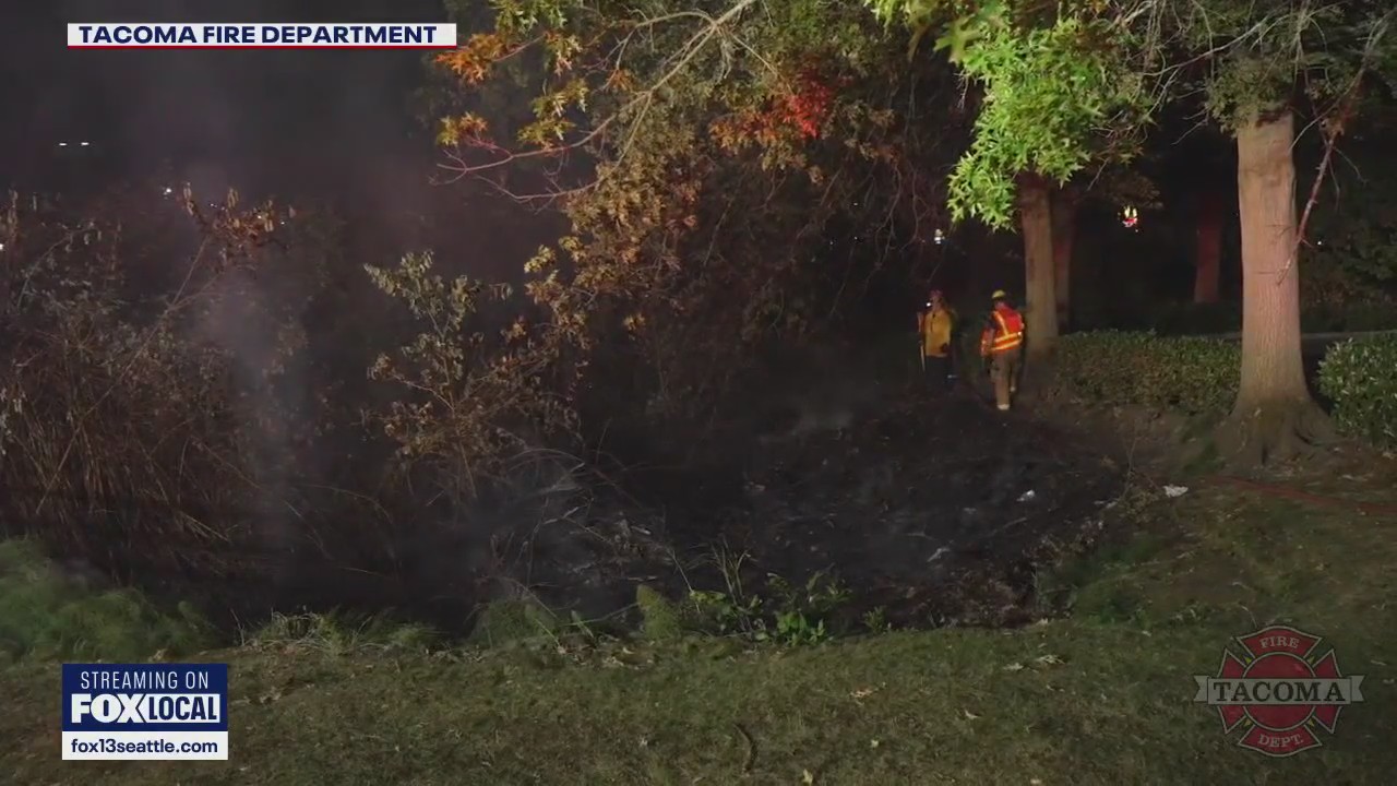 Preventing fires from illegal fireworks use in WA