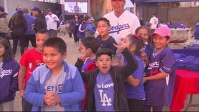 LA Historic Park Dodgers