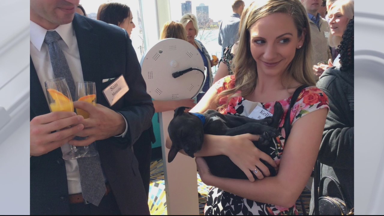 32nd Annual Purrfect Bow Wow Brunch