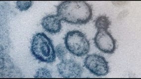 Doctor is in - Henry Ford Health doctor answers important questions about COVID-19