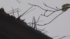 Property owners asked to boost fire protection efforts