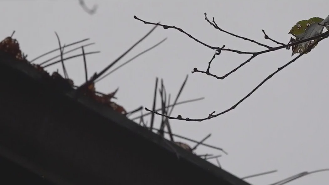 Property owners asked to boost fire protection efforts