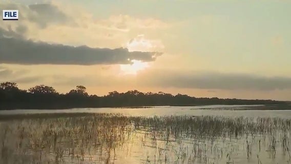 Alligator attacks, kills woman at Lake Kissimmee State Park
