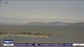 Wind swept and cooler today