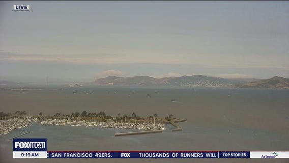 Wind swept and cooler today