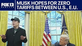 Elon Musk hopes for zero tariffs between US and European Union