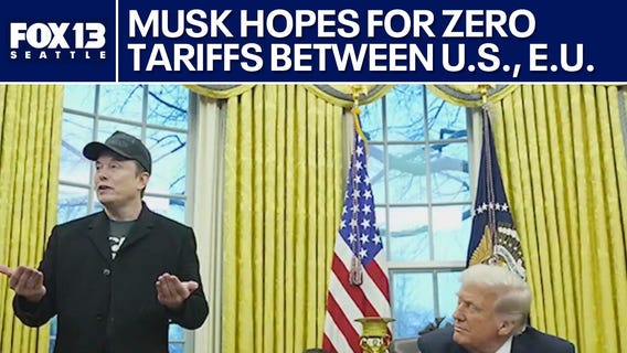 Elon Musk hopes for zero tariffs between US and European Union