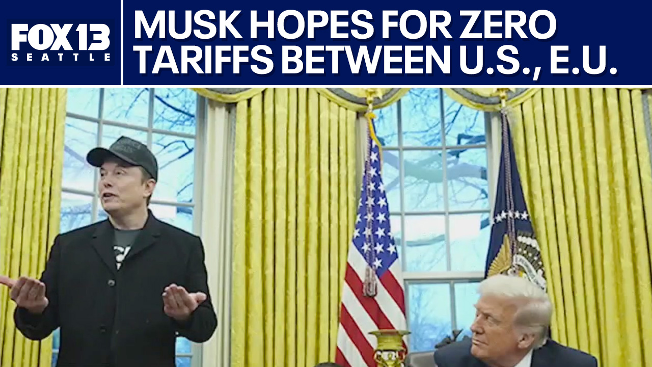 Elon Musk hopes for zero tariffs between US and European Union