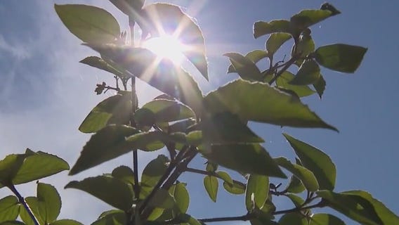 Staying cool during extreme heat