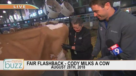 Fair Flashback: Cody tries his hand at milking a cow