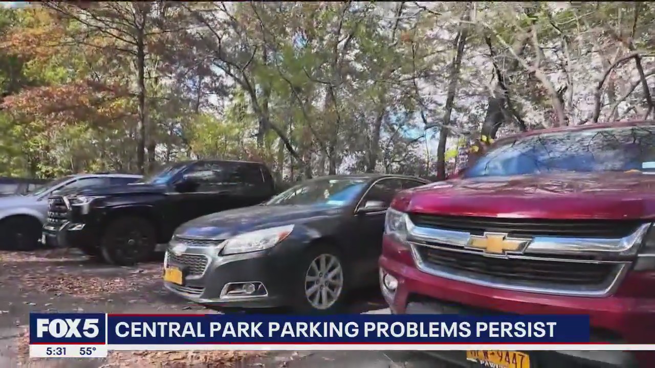 Central Park parking problems persist