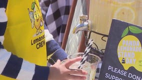 PANDA raises money for childhood health research