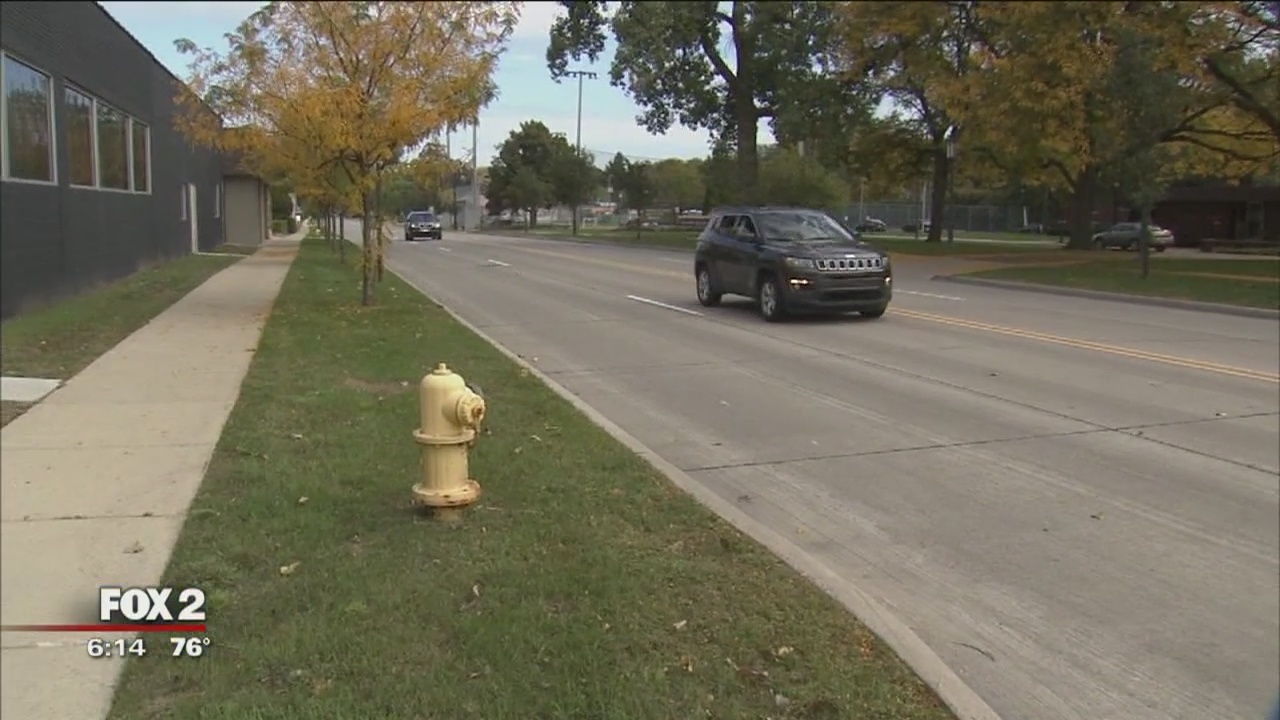 City officials putting in efforts to revamp 11 Mile stretch in Oakland Co