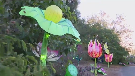 Sensory-friendly ZooLights set to take place