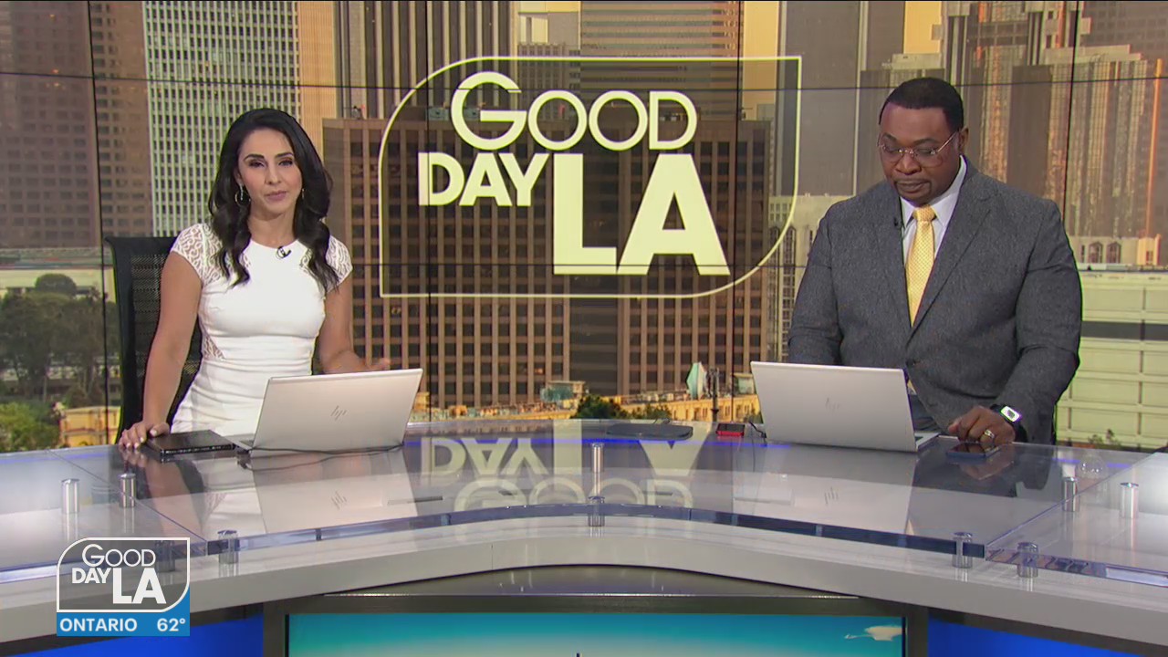 Traveling with your pets