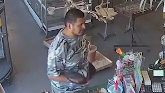 Man tried stealing exotic bird from Van Nuys store