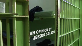 Like It or Not: Private Prisons