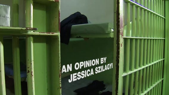 Like It or Not: Private Prisons