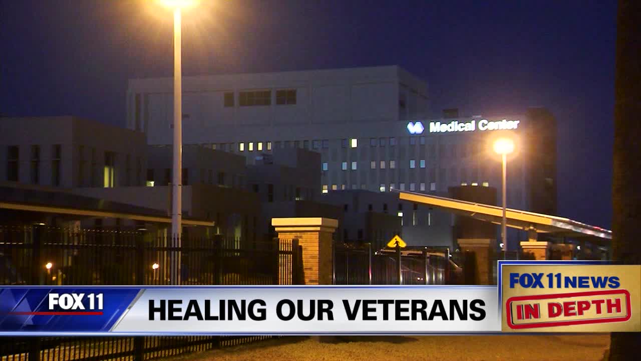 FOX 11 In Depth Part One: Healing Our Veterans