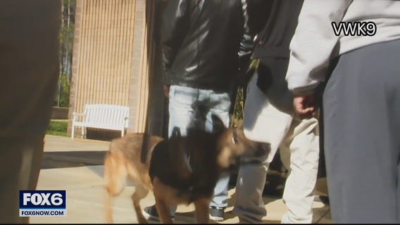 K-9s will detect firearms at Mayfair Mall