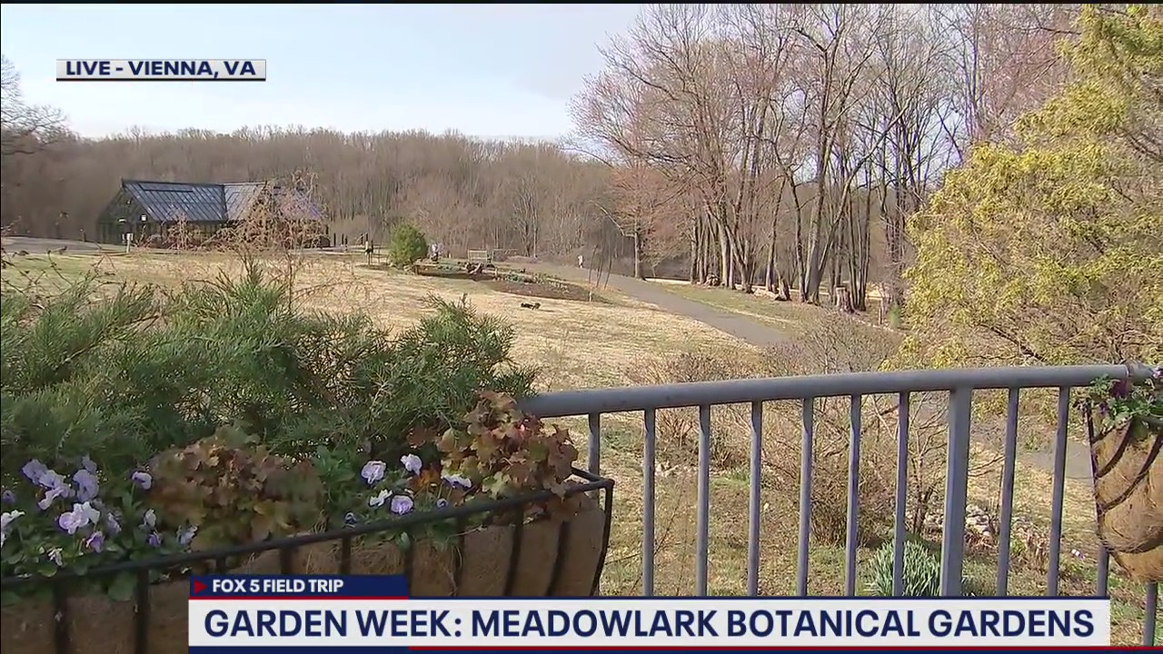 FOX 5 FIELD TRIP: Meadowlark Botanical Gardens