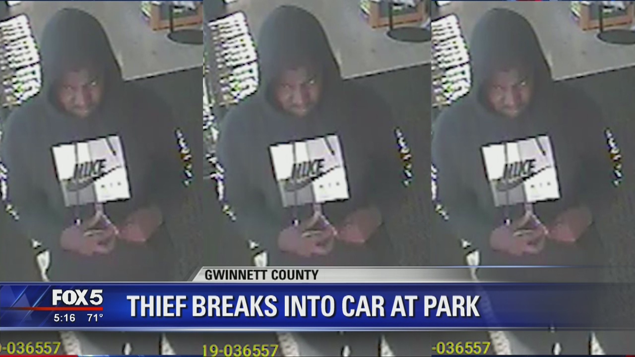 Thief breaks into car at Gwinnett County park | FOX 5 Atlanta