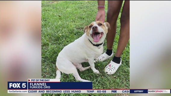 Pets of the Day from FurKids