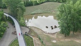 Minnesota Zoo's Treetop Trail opens Friday