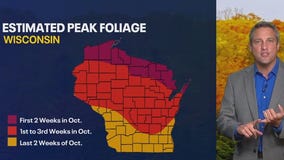 Expect "brilliant" fall foliage; here's why