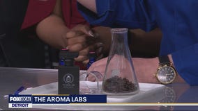 The Aroma Labs