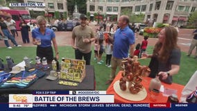 Battle of the Brews in Reston