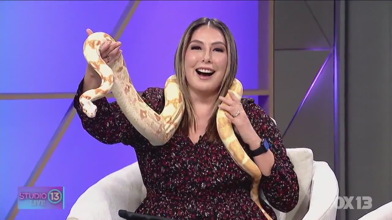 PNW Reptile and Exotic Animal Show IN STUDIO!
