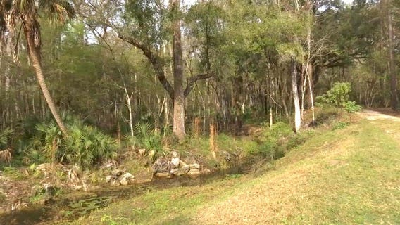 Explore 'real Florida' at Colt Creek State Park