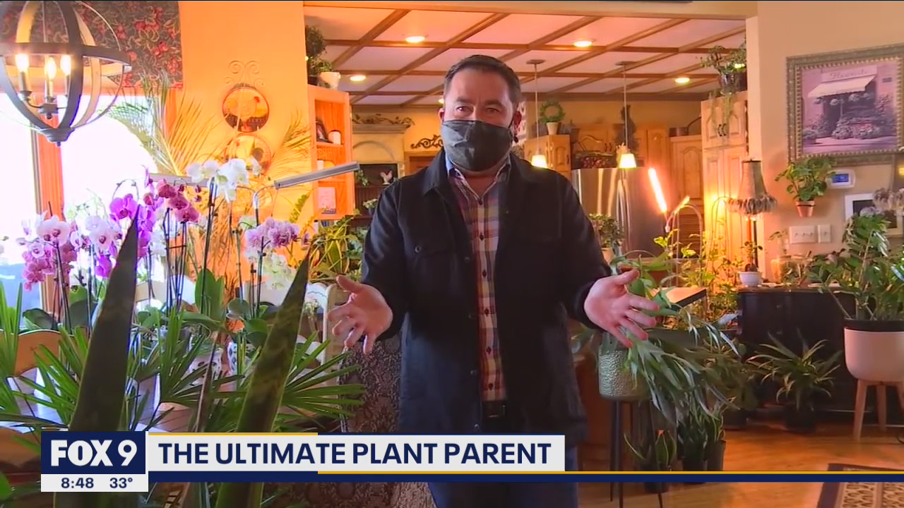 Meet the ultimate plant parent with Garden Guy Dale K
